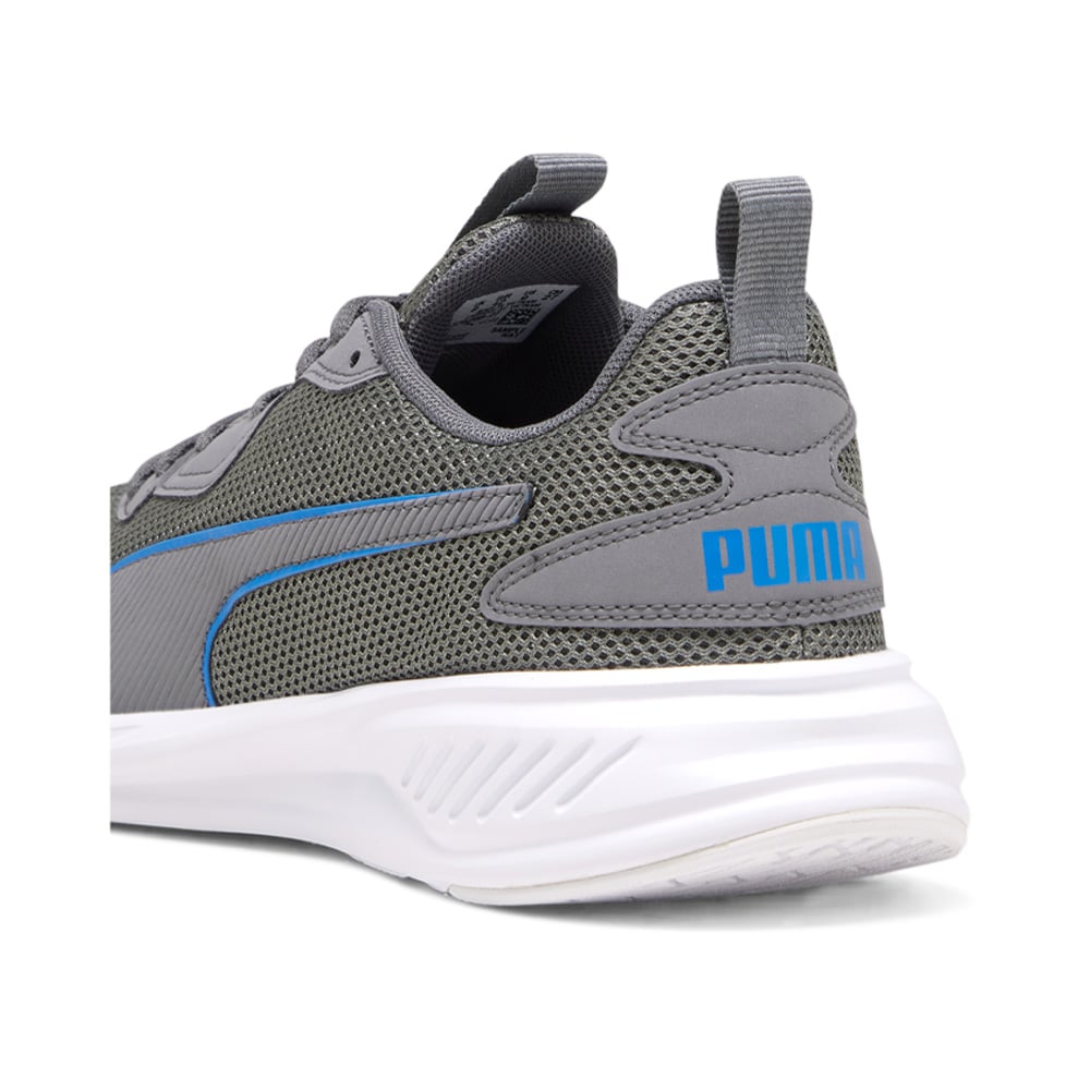 Puma Incinerate image number null