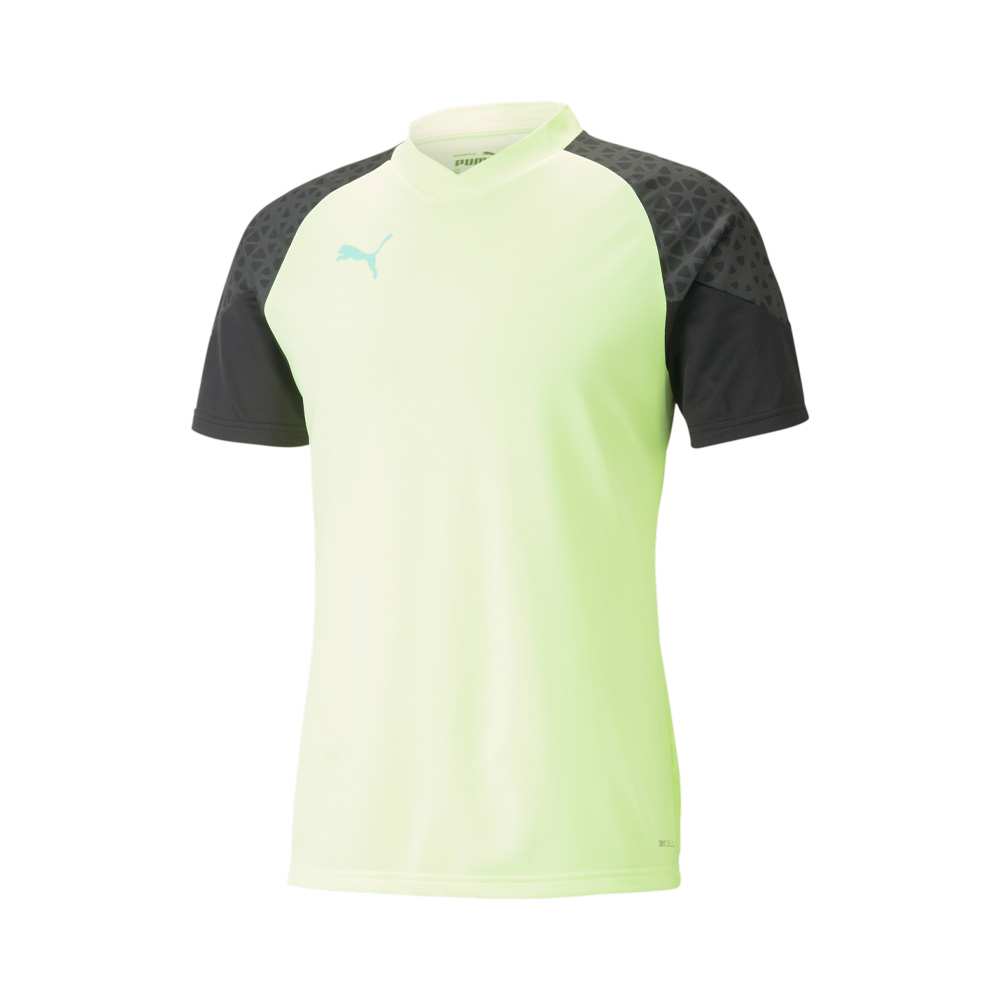 Puma Individualcup Training Jersey image number null