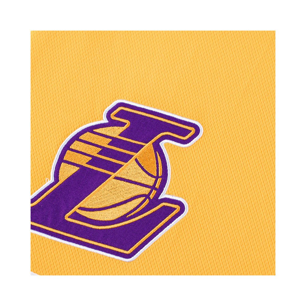 Fexpro Nba Los Angeles Lakers Short image number null