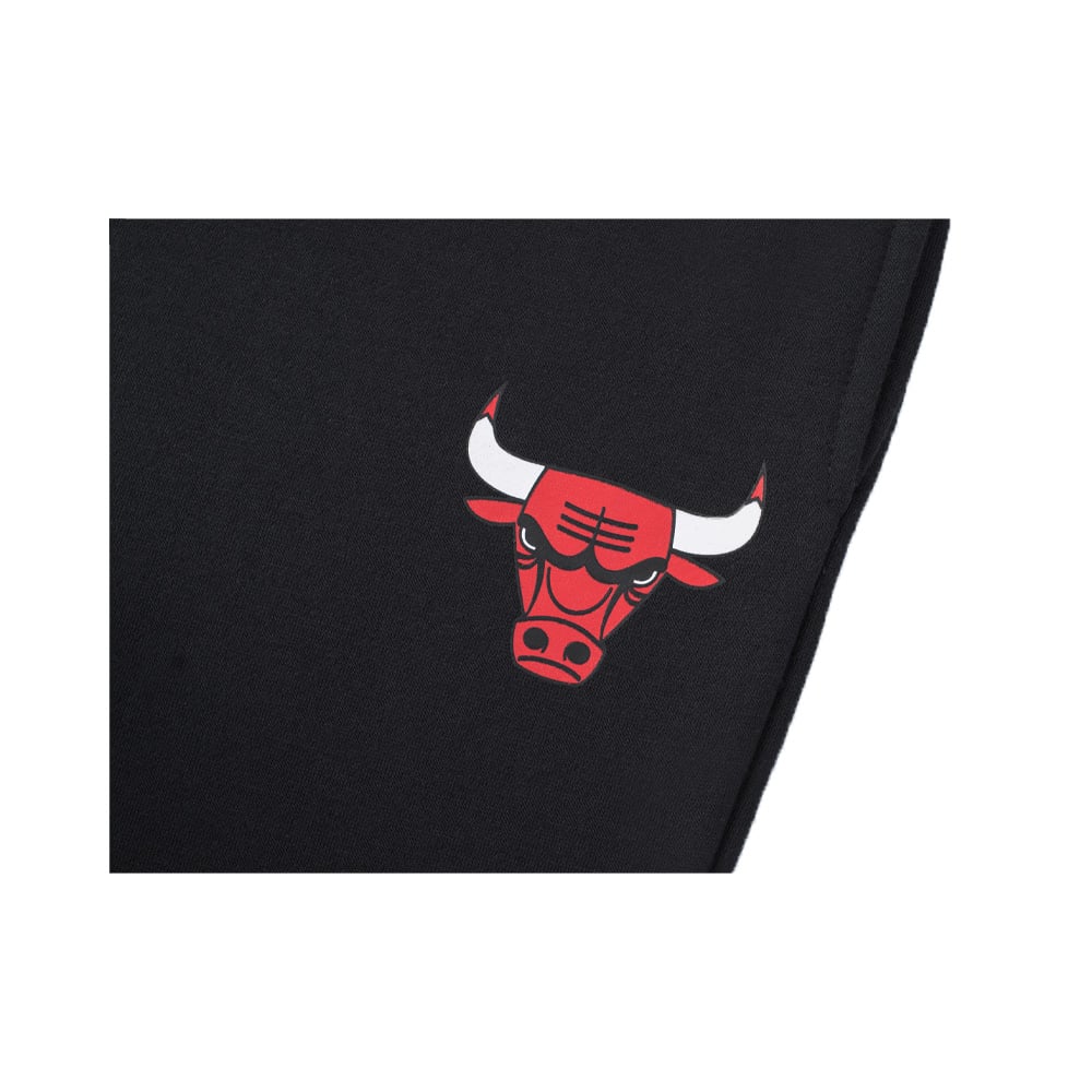 Fexpro Nba Vertical Team Name Jogger Pants Bulls image number null