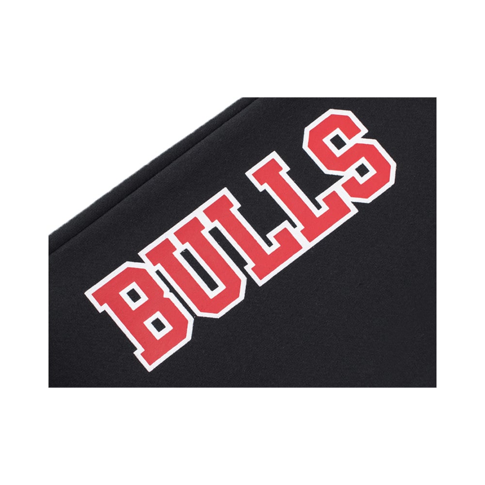 Fexpro Nba Vertical Team Name Jogger Pants Bulls image number null